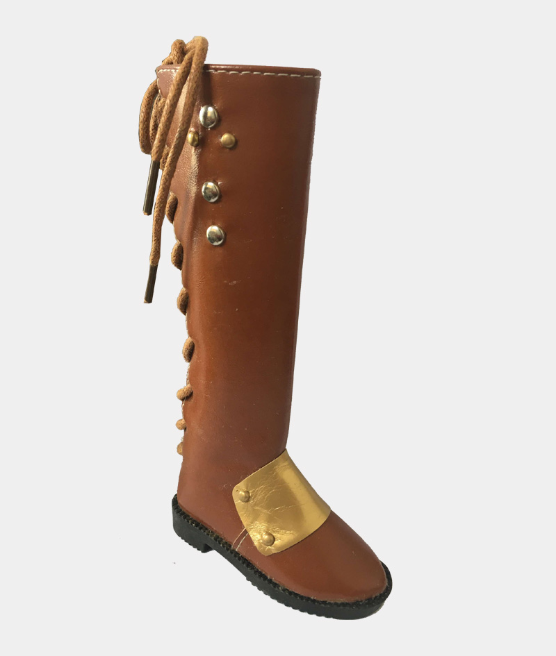 DS8017